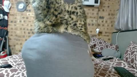 bootytwerkxxx online show from July 3, 3:55 am