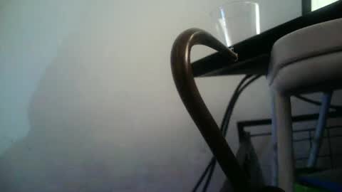 Snapshot of bottommlad chatting on January 10, 12:38 am BottoMMlad online show from January 10, 12:38 am