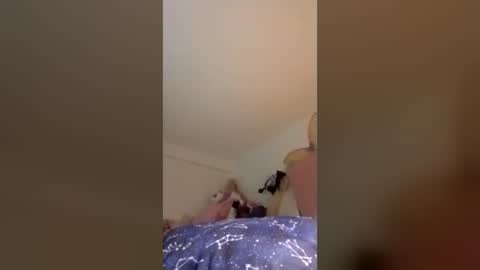brandon281997 online show from June 21, 5:58 am