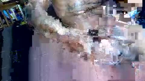 briandaplummer online show from February 7, 9:40 pm