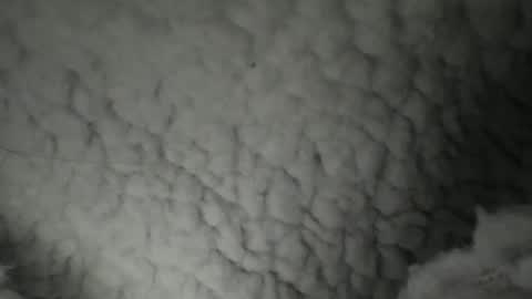 Brittanybbubbly online show from March 25, 2:51 am