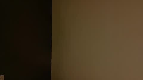 brianna online show from November 4, 7:48 pm