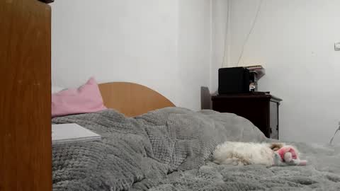 Britney online show from February 5, 12:31 pm