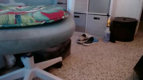bruceb124u online show from May 24, 10:49 pm