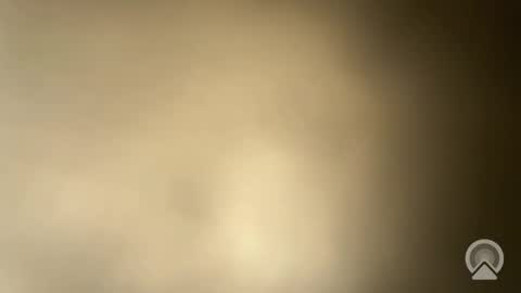 BRUCE online show from September 21, 12:58 am