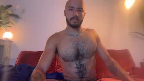 brunosarse online show from June 14, 8:55 pm