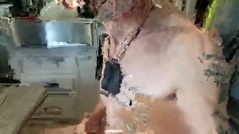 Steve... aka SkinnieDippin aka TimberTramp online show from October 15, 5:58 pm