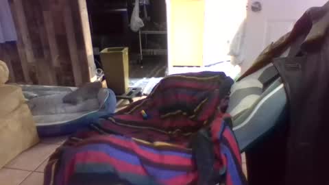 Snapshot of brutal3anddone chatting on October 16, 5:23 pm brutal3anddone online show from October 16, 5:23 pm