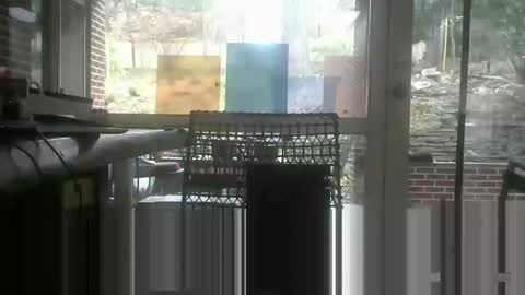 bulldog302w online show from December 1, 5:37 pm