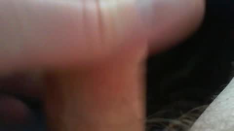 bullemoe online show from March 16, 11:25 am