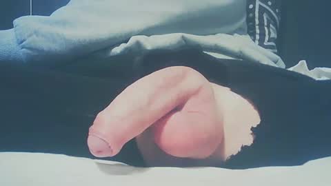 Dutch cock online show from February 23, 3:40 pm