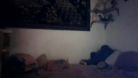 bunn13cat online show from March 17, 12:54 pm