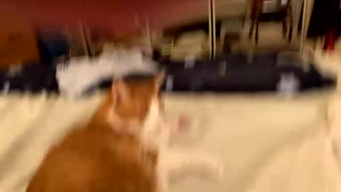 busty_2008 online show from March 19, 5:46 am