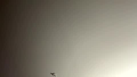 bwilson8844 online show from February 18, 11:04 pm