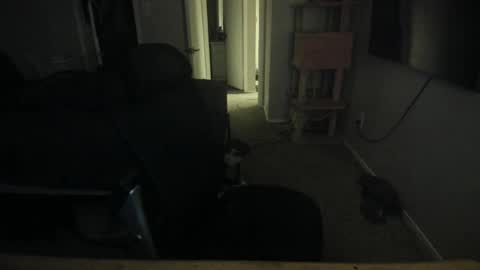 c00ki3m0nstr online show from May 12, 3:26 am