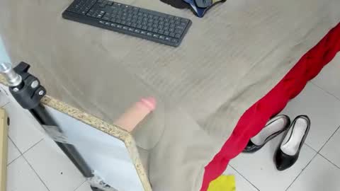 Camelia online show from March 12, 8:41 pm