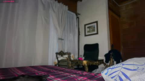 Camii online show from April 29, 2:38 am