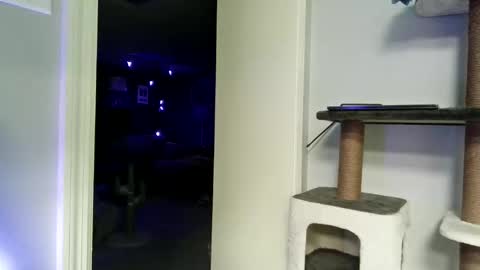 cammyman6900 online show from May 3, 5:24 am