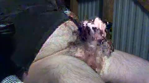 camr101 online show from October 17, 9:02 am