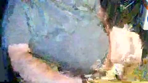 canoelicker69 online show from November 15, 9:49 pm