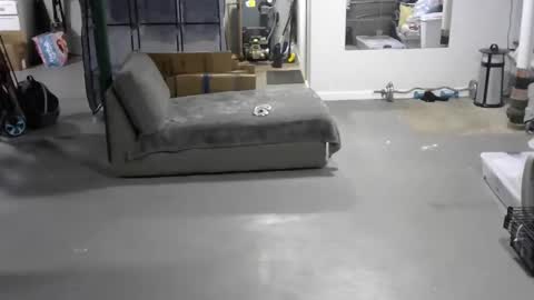 Carl online show from June 4, 5:19 pm