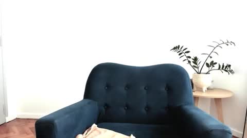 carolina online show from February 20, 6:21 pm