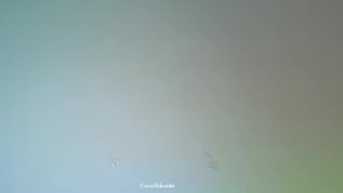 Char online show from February 21, 6:27 am