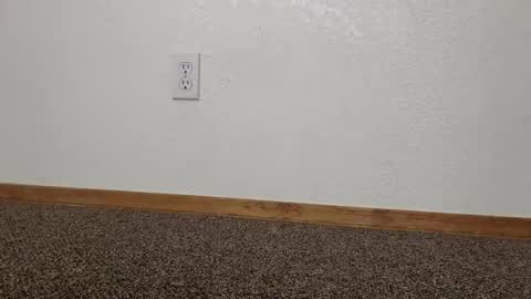 cash13bychanel online show from October 20, 8:14 pm