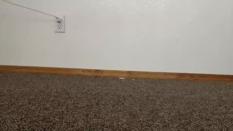 cash13bychanel online show from November 12, 8:55 pm