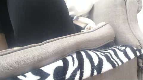 Cassandra joy online show from February 18, 3:41 pm