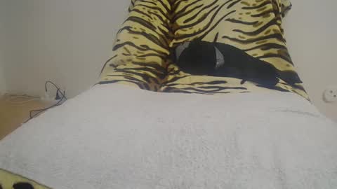 Cassandra joy online show from January 14, 3:09 pm