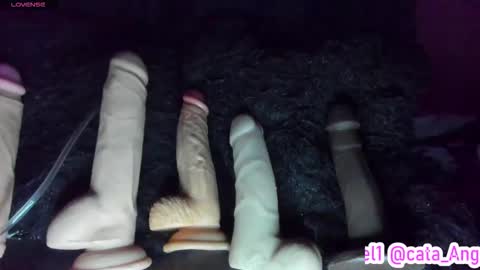 Cata Angel online show from November 24, 1:15 am