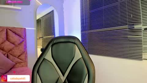  Catta online show from February 8, 6:22 am