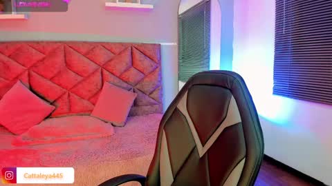  Catta online show from February 15, 4:47 am