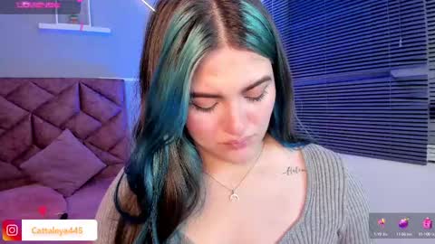  Catta online show from February 12, 3:40 am