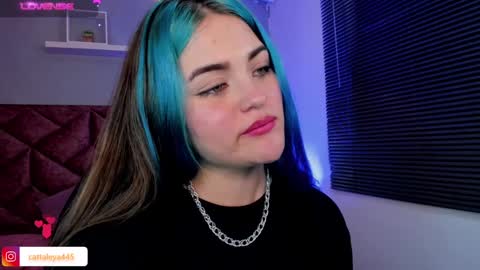  Catta online show from January 24, 6:24 am