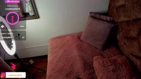  Catta online show from January 18, 7:07 am