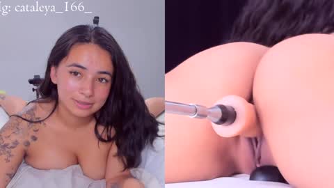 Cattleya Annie  online show from December 31, 12:43 am