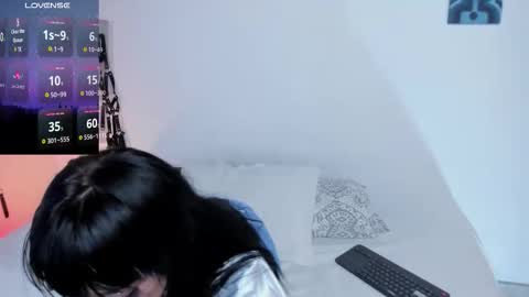 CattNamy online show from November 2, 9:31 am