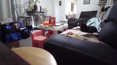 Caz online show from November 6, 2:20 pm