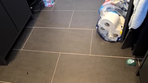 Telegram ldl123 online show from March 8, 3:24 pm