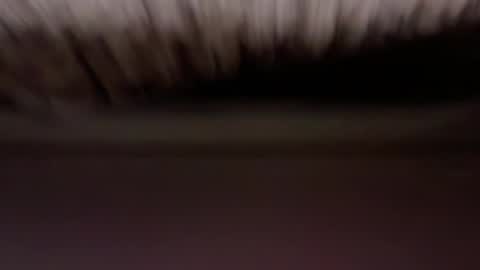 cenobitfor online show from March 5, 9:46 pm