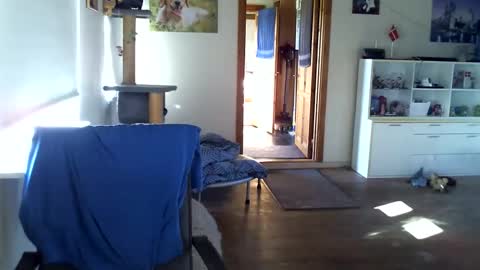 Snapshot of chefben666 chatting on October 27, 10:37 am chefben666 online show from October 27, 10:37 am