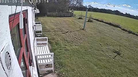 Snapshot of chefben666 chatting on September 24, 11:06 am chefben666 online show from September 24, 11:06 am