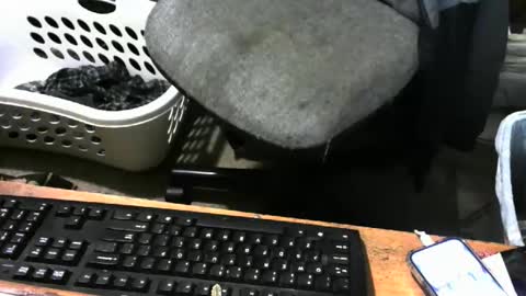 chefy online show from January 9, 11:27 am