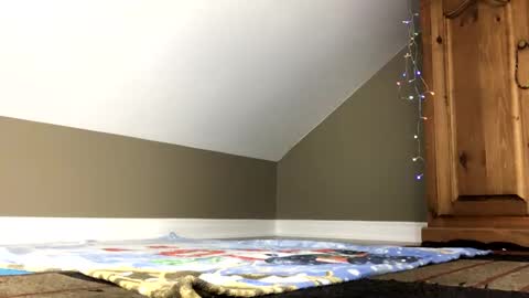 chenovich online show from January 4, 1:42 pm