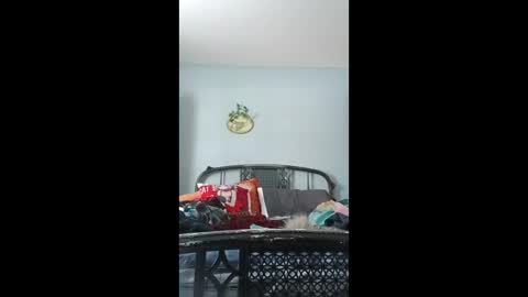 chichibird online show from December 3, 6:41 pm