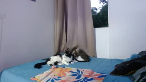 Chloe and Danna online show from June 13, 11:26 pm