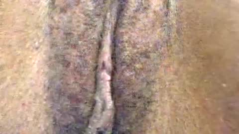 Cutie online show from May 1, 12:54 pm