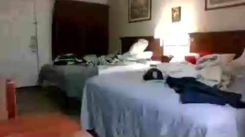 choclate_choctaw online show from July 23, 1:58 am
